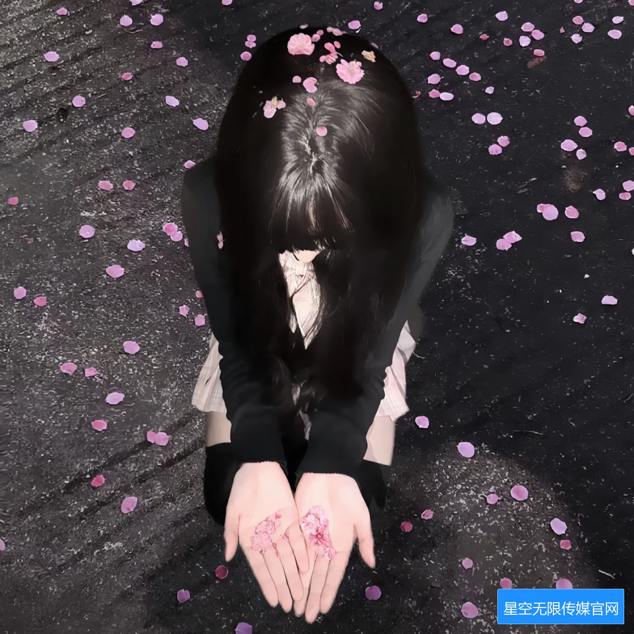 星空无限影视传媒有限公司网站如何在线看影视内容的详细操作指南