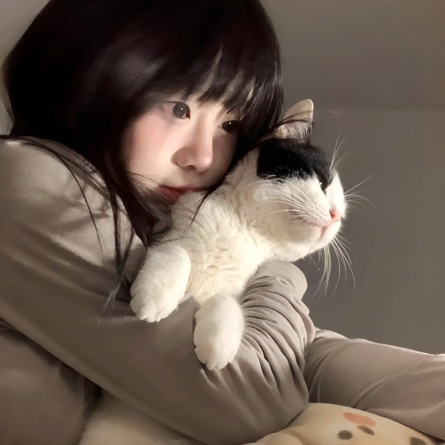 羞羞黑料在线观看免费